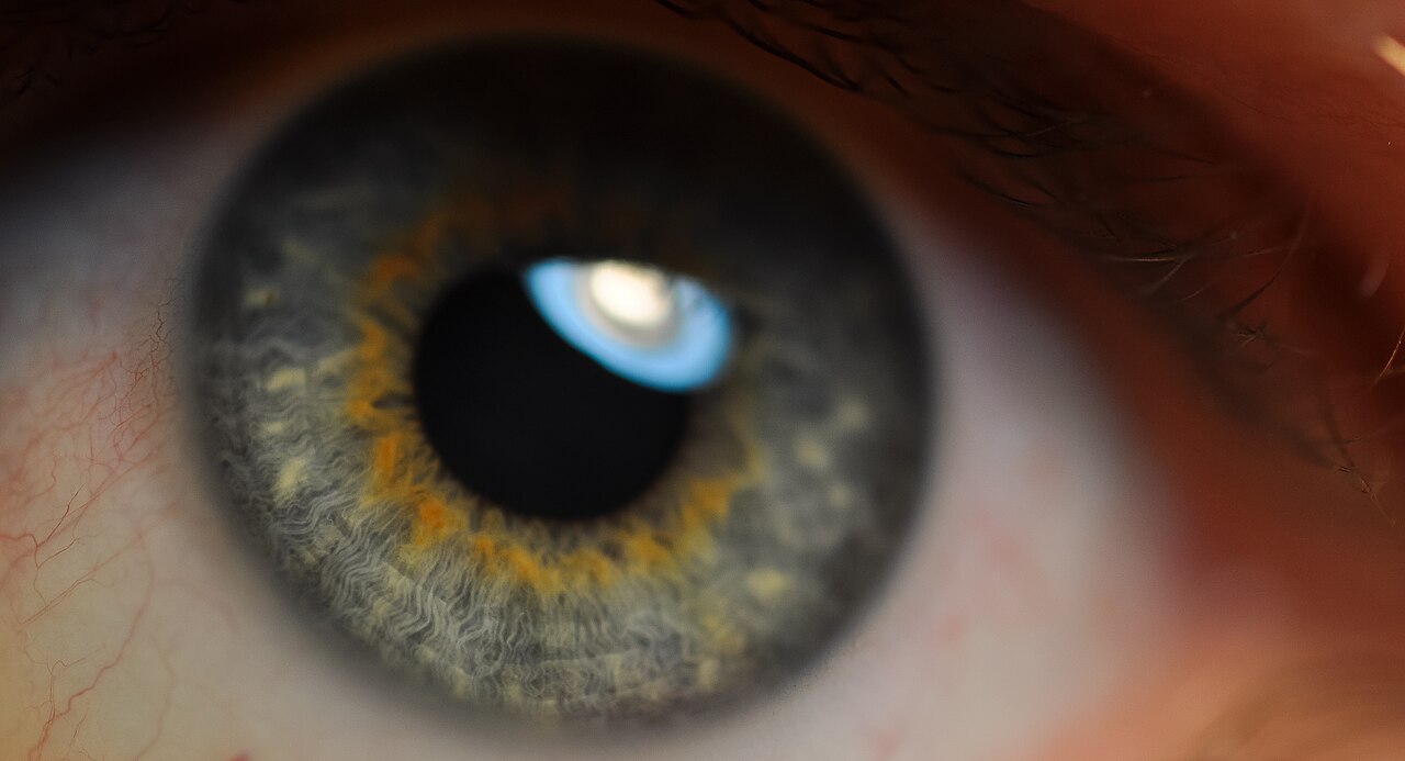Iris Macro, Eye close-up