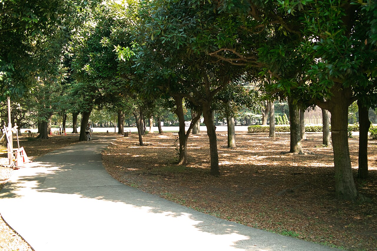 砧公園 ファミリーパーク（東京・世田谷）の緑地風景