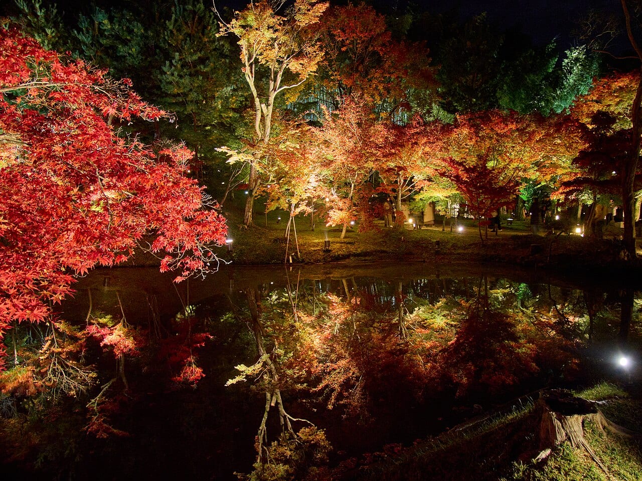 屋外の日本庭園で、夜にライトアップされた紅葉と池の水面に映る木々