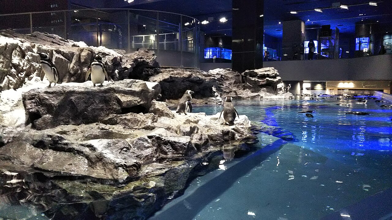 すみだ水族館 館内の様子