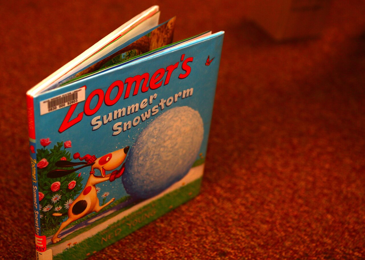 Have book, will travel - summer reading program