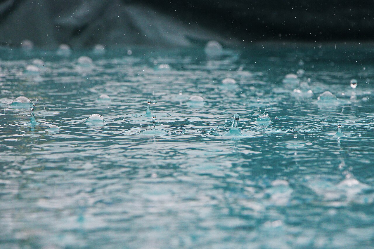 雨粒のクローズアップ写真